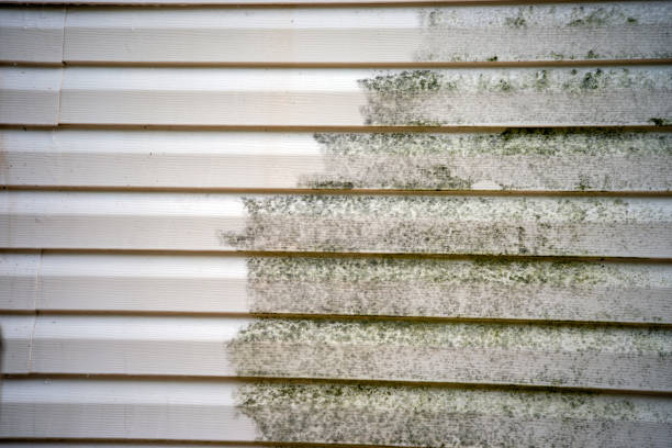 Best Shed Removal  in Parkville, MO
